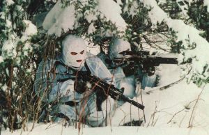 4733d75ba991aae32ebf2da6c49afc81